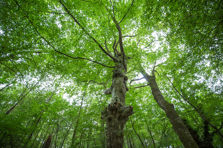 Een ander Bretagne  -  visuel 1/1 Een ander Bretagne  -  visuel 1/1