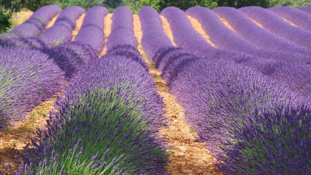 Frankrijk anders  -  visuel 1/5