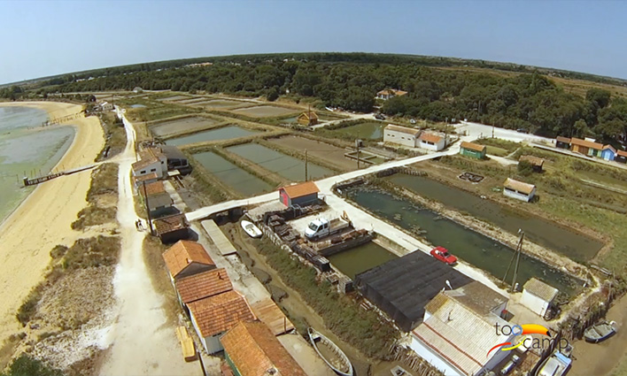 Oesterkweek op het eiland Oléron; Oesterkweek op video  -  visuel 1/1 Oesterkweek op het eiland Oléron; Oesterkweek op video  -  visuel 1/1