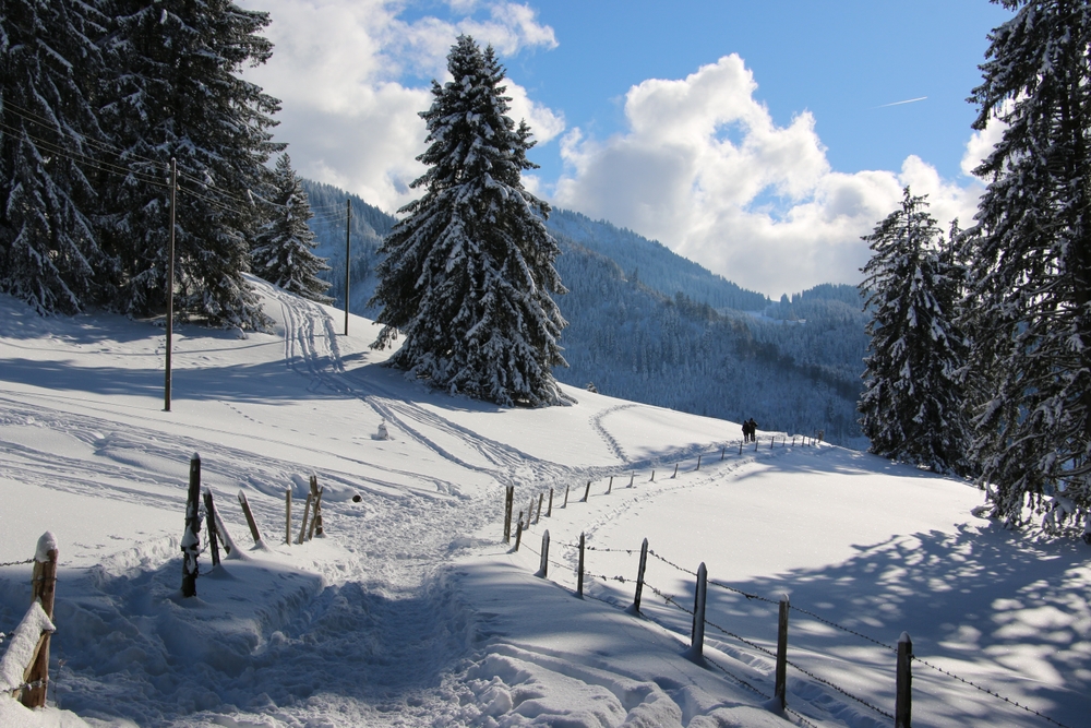 Paasweekend: een laatste kans om te skiën dit jaar? ⛷️  -  visuel 1/1 Paasweekend: een laatste kans om te skiën dit jaar? ⛷️  -  visuel 1/1