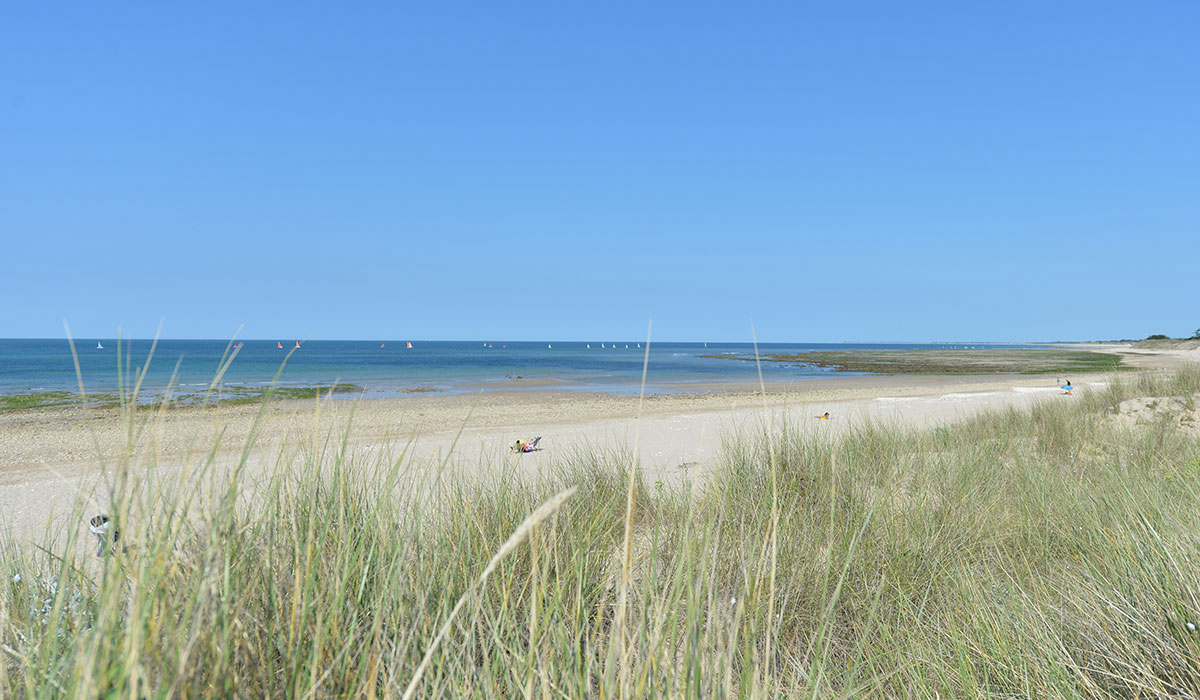 Antioche Poitou-Charentes - Bois-Plage-en-Ré visuel 11/22 Antioche Poitou-Charentes - Bois-Plage-en-Ré visuel 11/22