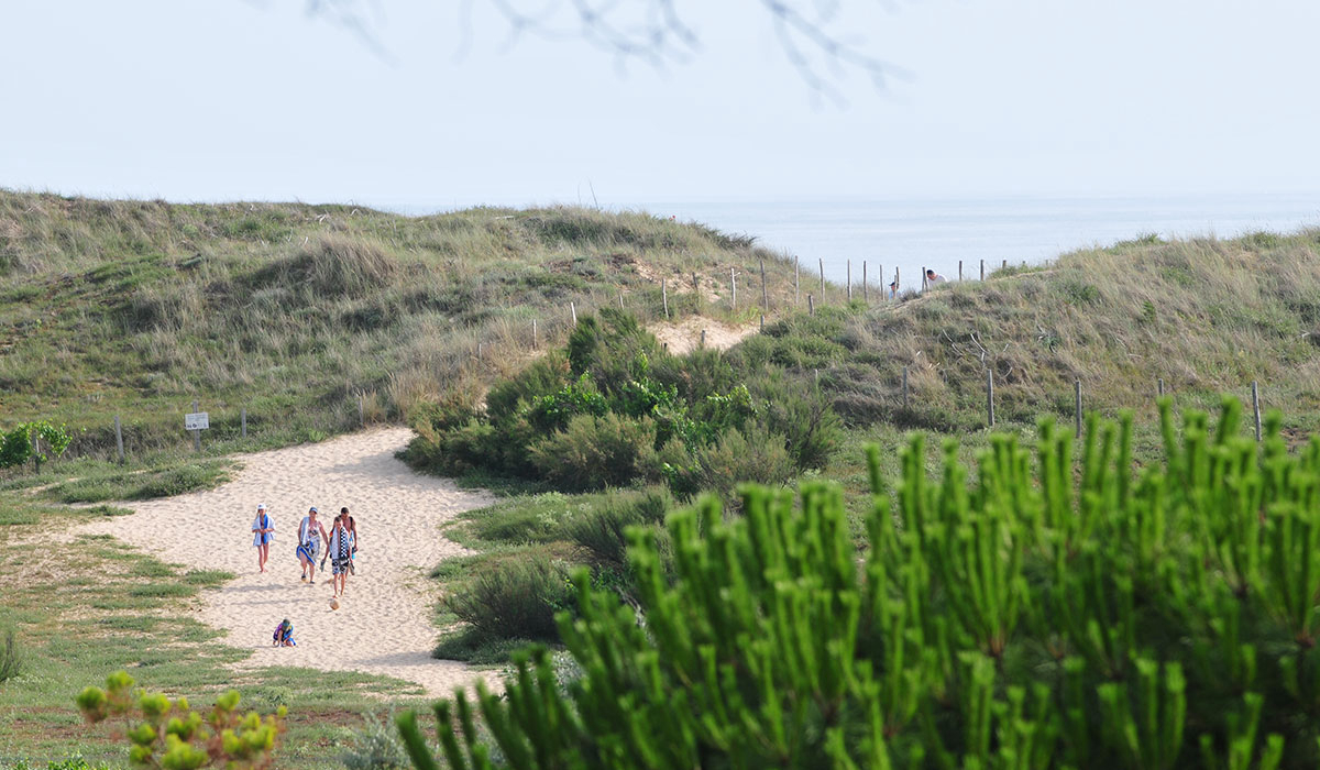 Antioche Poitou-Charentes - Bois-Plage-en-Ré visuel 22/22 Antioche Poitou-Charentes - Bois-Plage-en-Ré visuel 22/22
