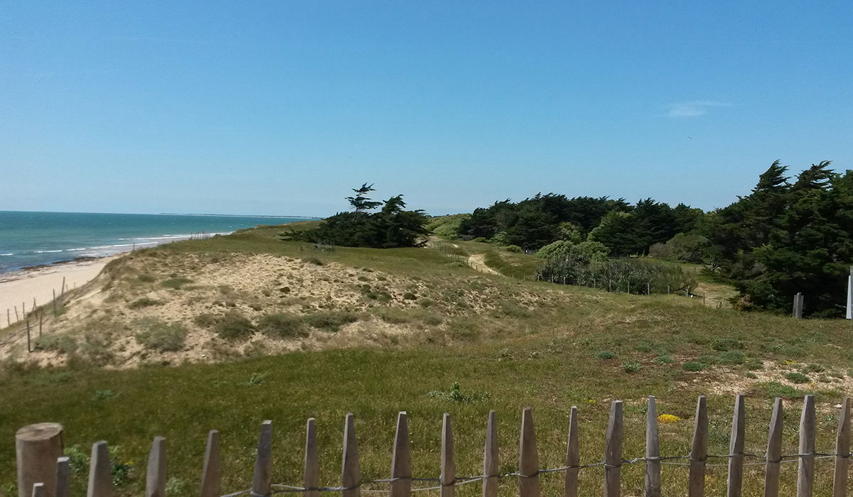 Antioche Poitou-Charentes - Bois-Plage-en-Ré visuel 15/22 Antioche Poitou-Charentes - Bois-Plage-en-Ré visuel 15/22