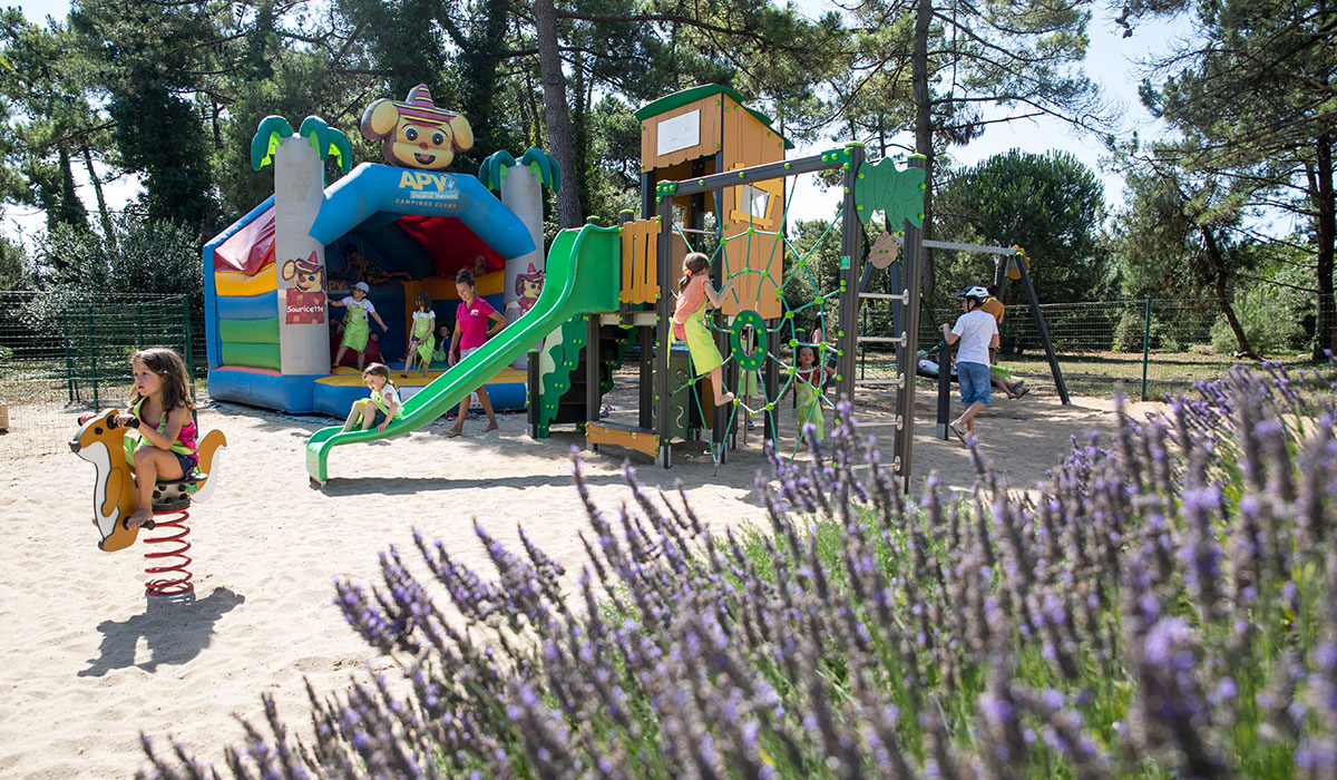 Antioche Poitou-Charentes - Bois-Plage-en-Ré visuel 5/22 Antioche Poitou-Charentes - Bois-Plage-en-Ré visuel 5/22