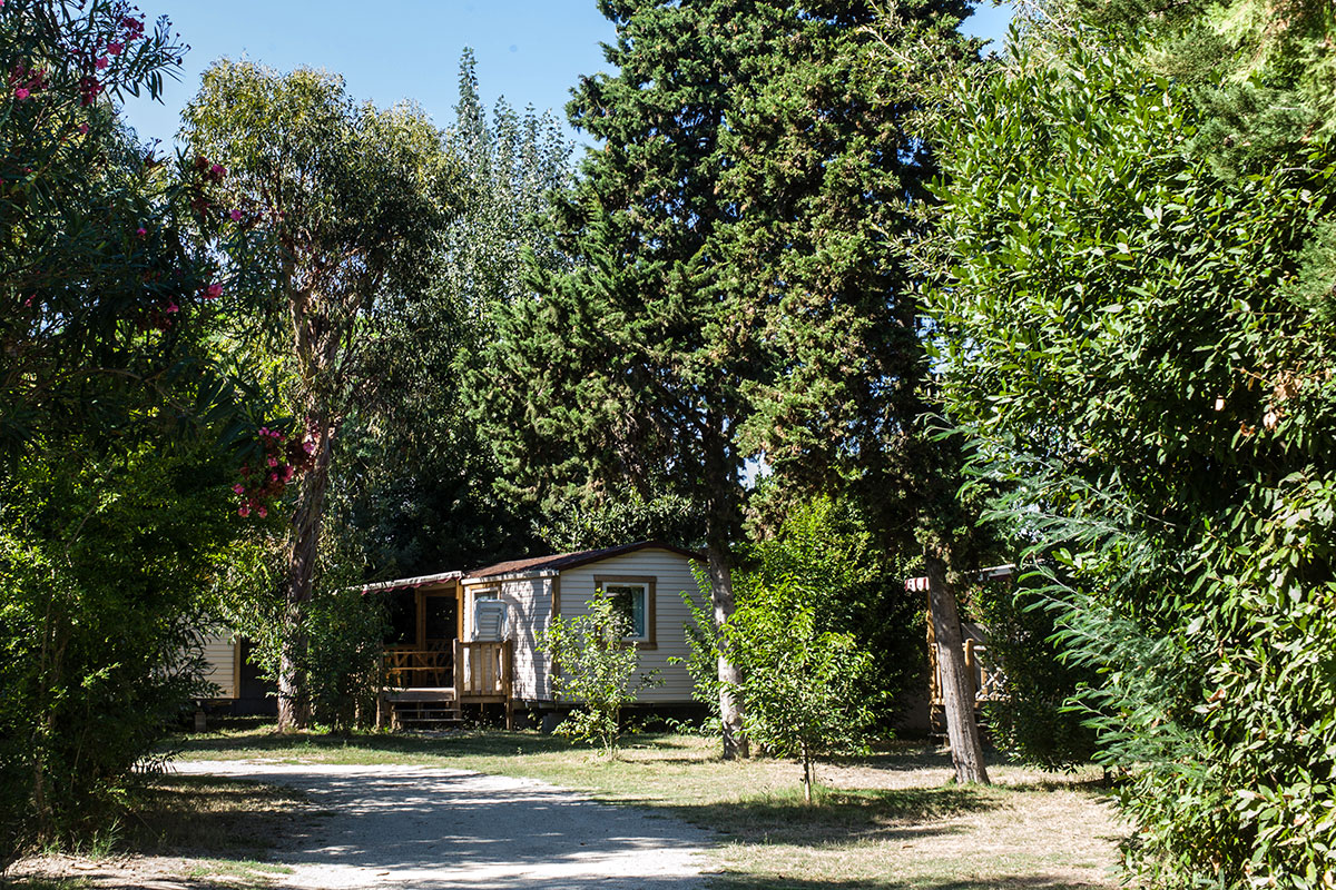 Arinella Bianca Corsica - Ghisonaccia visuel 14/17