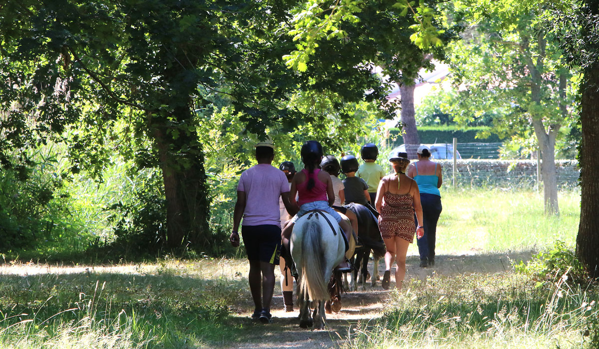 Atlantique Parc Poitou-Charentes - Les Mathes-La Palmyre visuel 4/16 Atlantique Parc Poitou-Charentes - Les Mathes-La Palmyre visuel 4/16