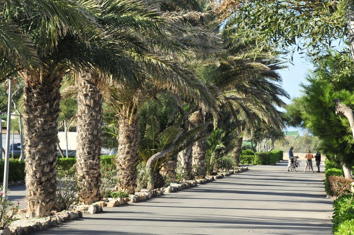 Camping Cabo de Gata Andalousië - Nijar visuel 8/11