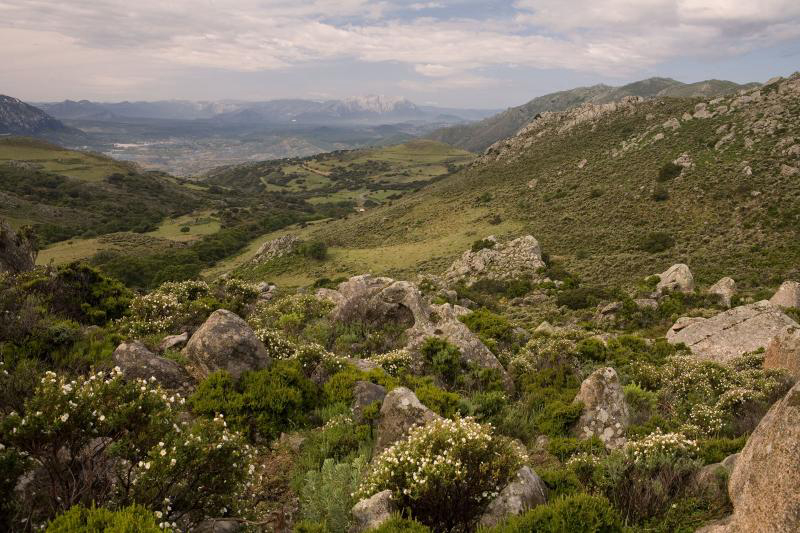 Camping Cala Ginepro Sardinië - Orosei visuel 2/3 Camping Cala Ginepro Sardinië - Orosei visuel 2/3