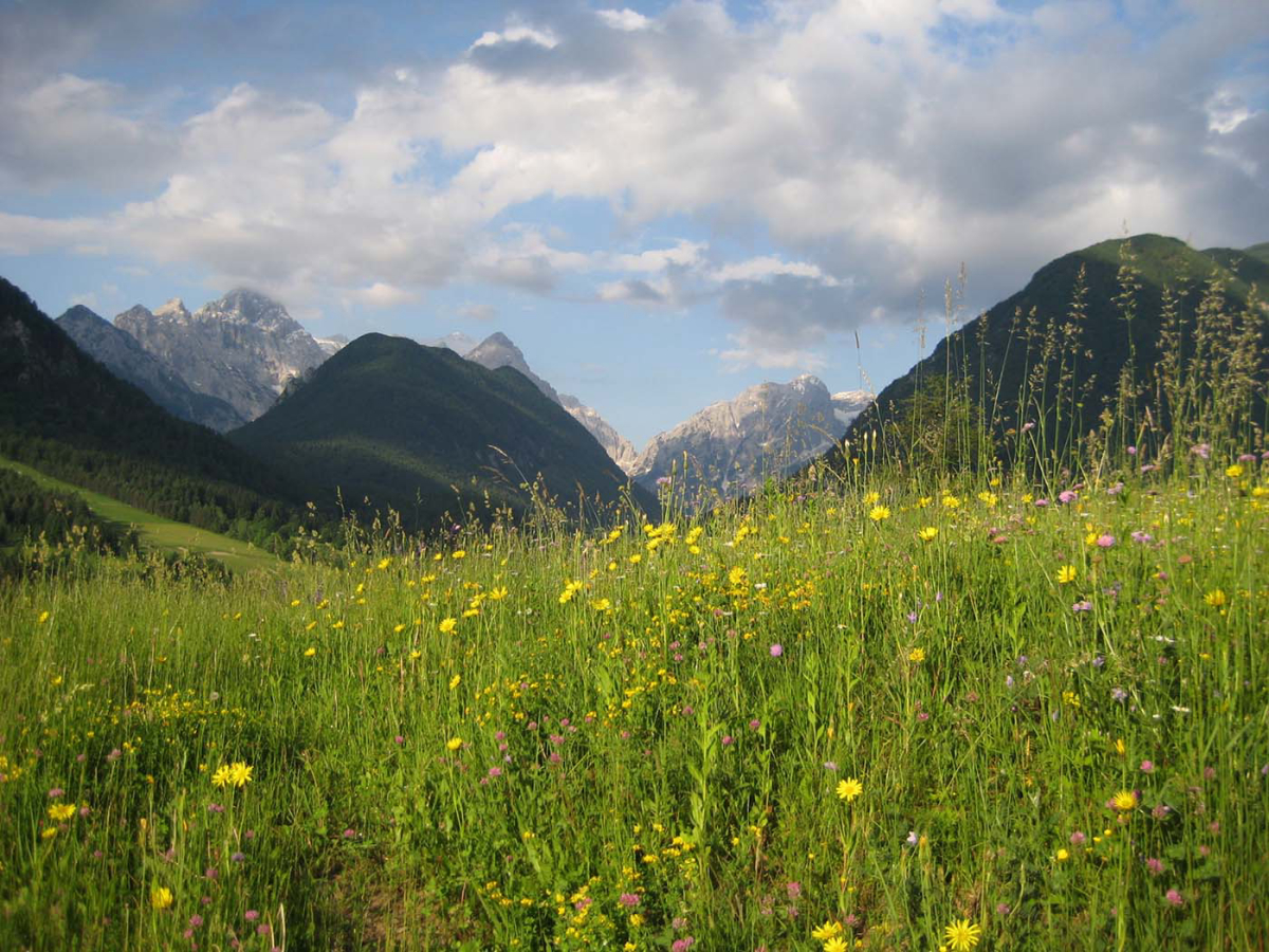Camping Kamne Boven-Carniola - Mojstrana visuel 3/3 Camping Kamne Boven-Carniola - Mojstrana visuel 3/3