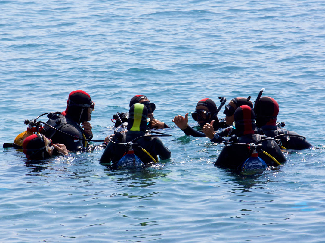 La Garrofa Andalousië - Almeria visuel 2/3 La Garrofa Andalousië - Almeria visuel 2/3