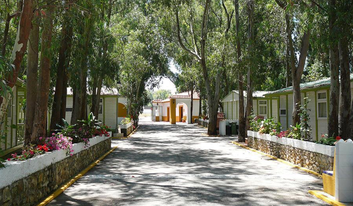 Camping Los Eucaliptos Andalousië - Conil de la Frontera visuel 1/1 Camping Los Eucaliptos Andalousië - Conil de la Frontera visuel 1/1