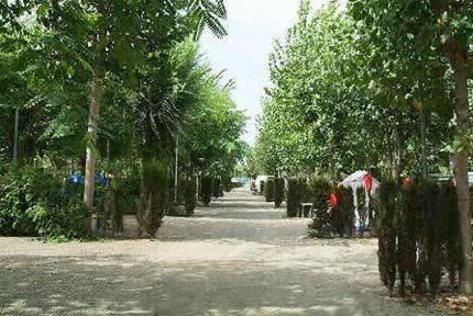 Camping Naturiste Almanat Andalousië - Torre del Mar visuel 3/3 Camping Naturiste Almanat Andalousië - Torre del Mar visuel 3/3