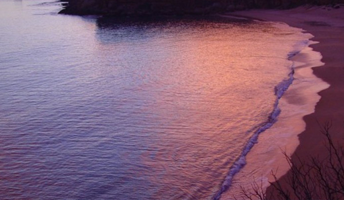 Camping Naturiste Cala del Aceite Andalousië - Conil de la Frontera visuel 1/2 Camping Naturiste Cala del Aceite Andalousië - Conil de la Frontera visuel 1/2