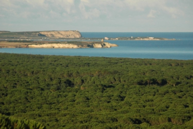 Camping Nurapolis Sardinië - Narbolia visuel 4/7