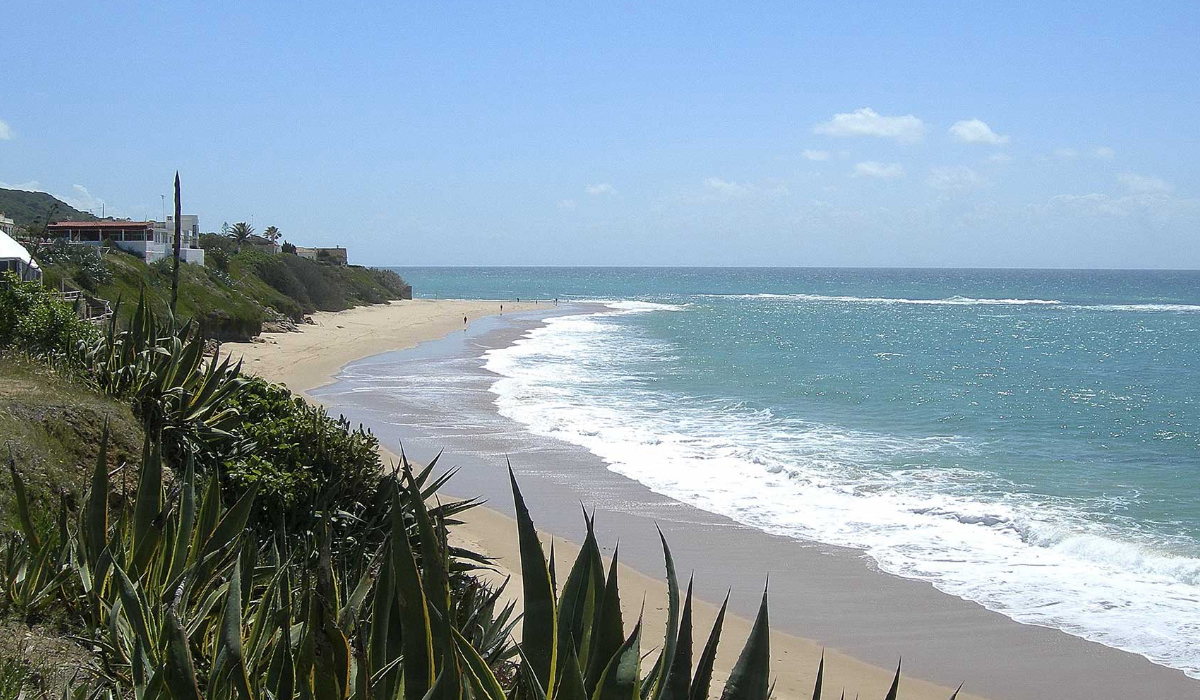 Camping Pinar San José Andalousië - Barbate visuel 1/1 Camping Pinar San José Andalousië - Barbate visuel 1/1