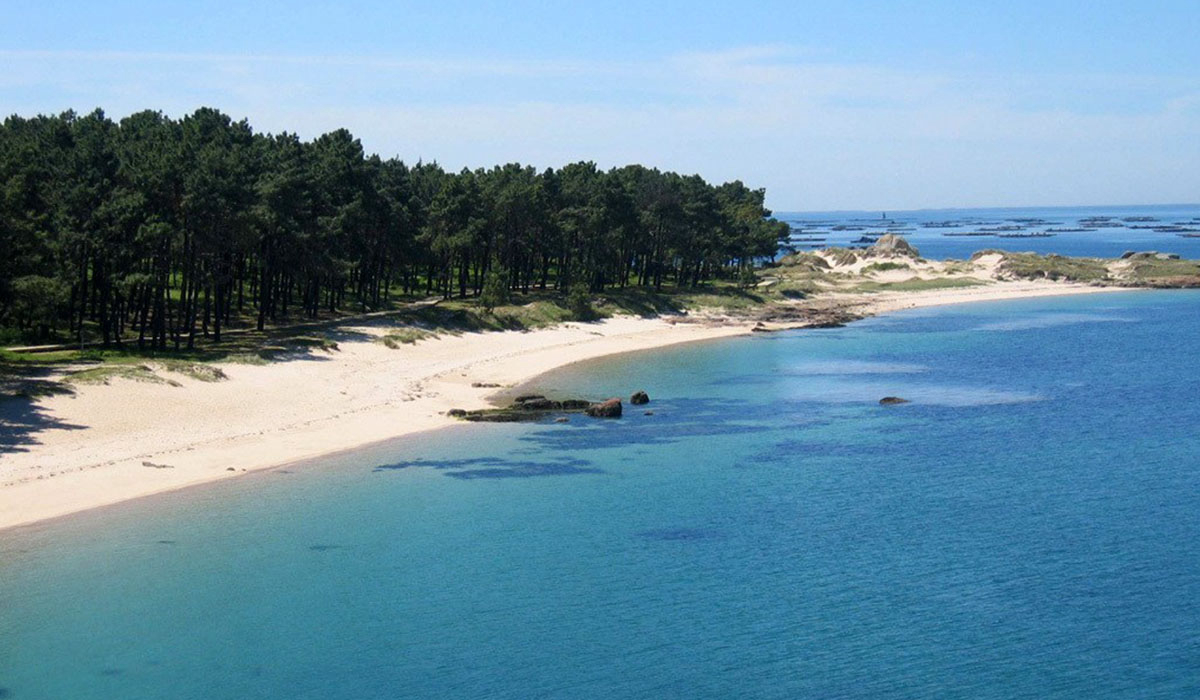 Camping Playa Paisaxe I Galicië - Vilanova de Arousa visuel 1/3 Camping Playa Paisaxe I Galicië - Vilanova de Arousa visuel 1/3