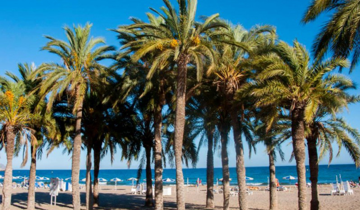 Camping Playa Paraíso Kust van Valencia - Het dorp Joiosa visuel 1/1 Camping Playa Paraíso Kust van Valencia - Het dorp Joiosa visuel 1/1