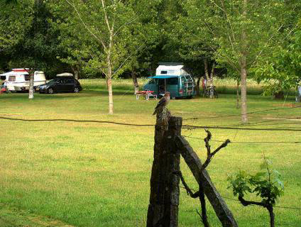 Camping Quinta Chave Grande Centrum - Sátão visuel 3/4 Camping Quinta Chave Grande Centrum - Sátão visuel 3/4