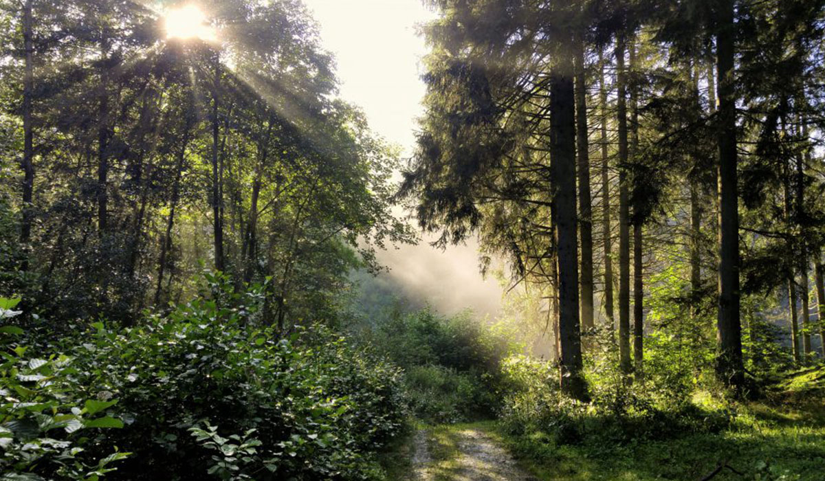 Camping Tro Do Way Luxemburg - Bertogne visuel 1/4 Camping Tro Do Way Luxemburg - Bertogne visuel 1/4