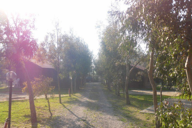 Villaggio Le Casette Calabria - Jachthaven Cirò visuel 2/4