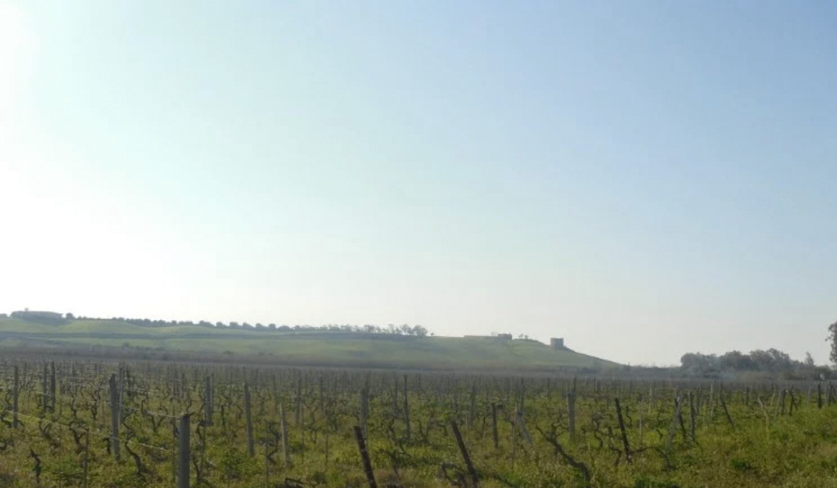 Villaggio Le Casette Calabria - Jachthaven Cirò visuel 1/4