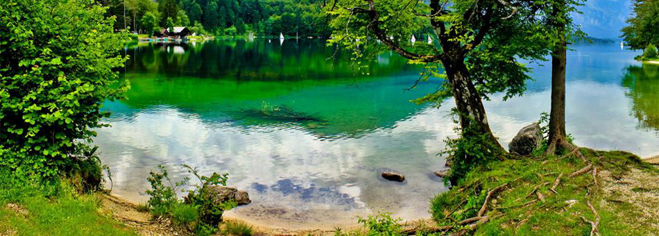 Camping Zlatorog Boven-Carniola - Bohinjska Bistrica visuel 3/4 Camping Zlatorog Boven-Carniola - Bohinjska Bistrica visuel 3/4