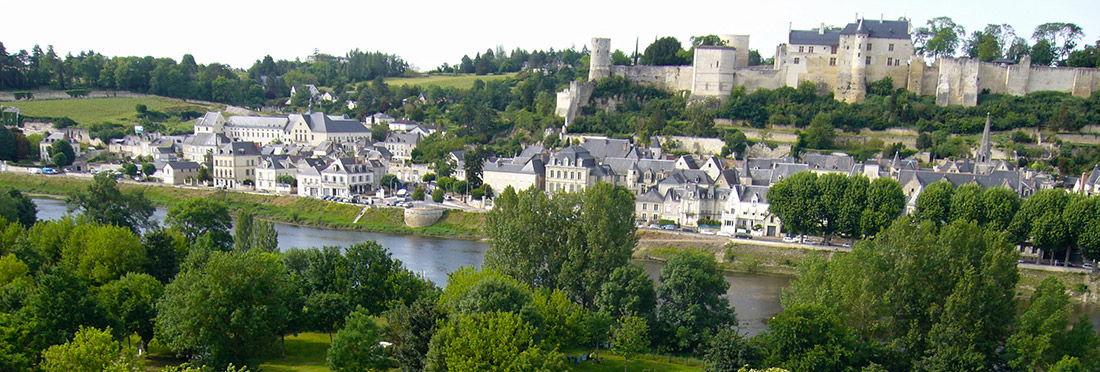 Camping de l'Ile Auger Groot-Centrum - Chinon visuel 2/4 Camping de l'Ile Auger Groot-Centrum - Chinon visuel 2/4