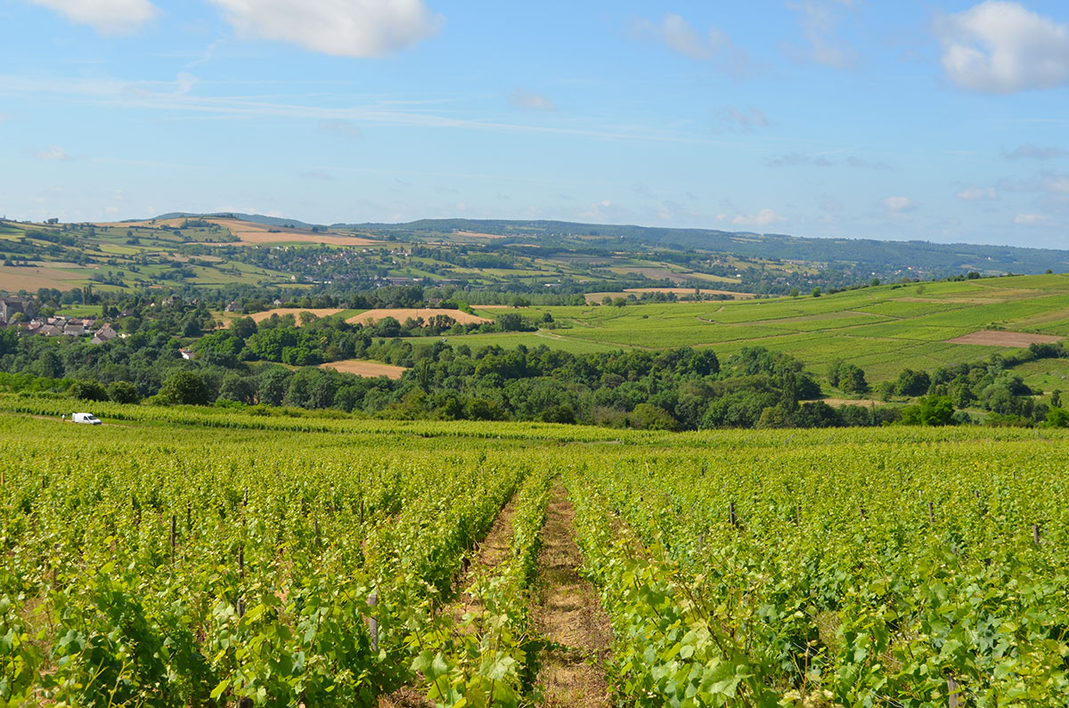 Des Sources Bourgogne - Santenay visuel 9/16 Des Sources Bourgogne - Santenay visuel 9/16