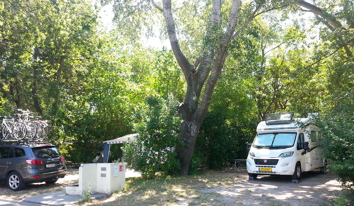 Camping du Pont d'Avignon Provence-Alpes-Côte d'Azur - Avignon visuel 5/9 Camping du Pont d'Avignon Provence-Alpes-Côte d'Azur - Avignon visuel 5/9