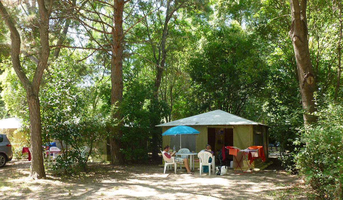Camping du Pont d'Avignon Provence-Alpes-Côte d'Azur - Avignon visuel 4/9 Camping du Pont d'Avignon Provence-Alpes-Côte d'Azur - Avignon visuel 4/9