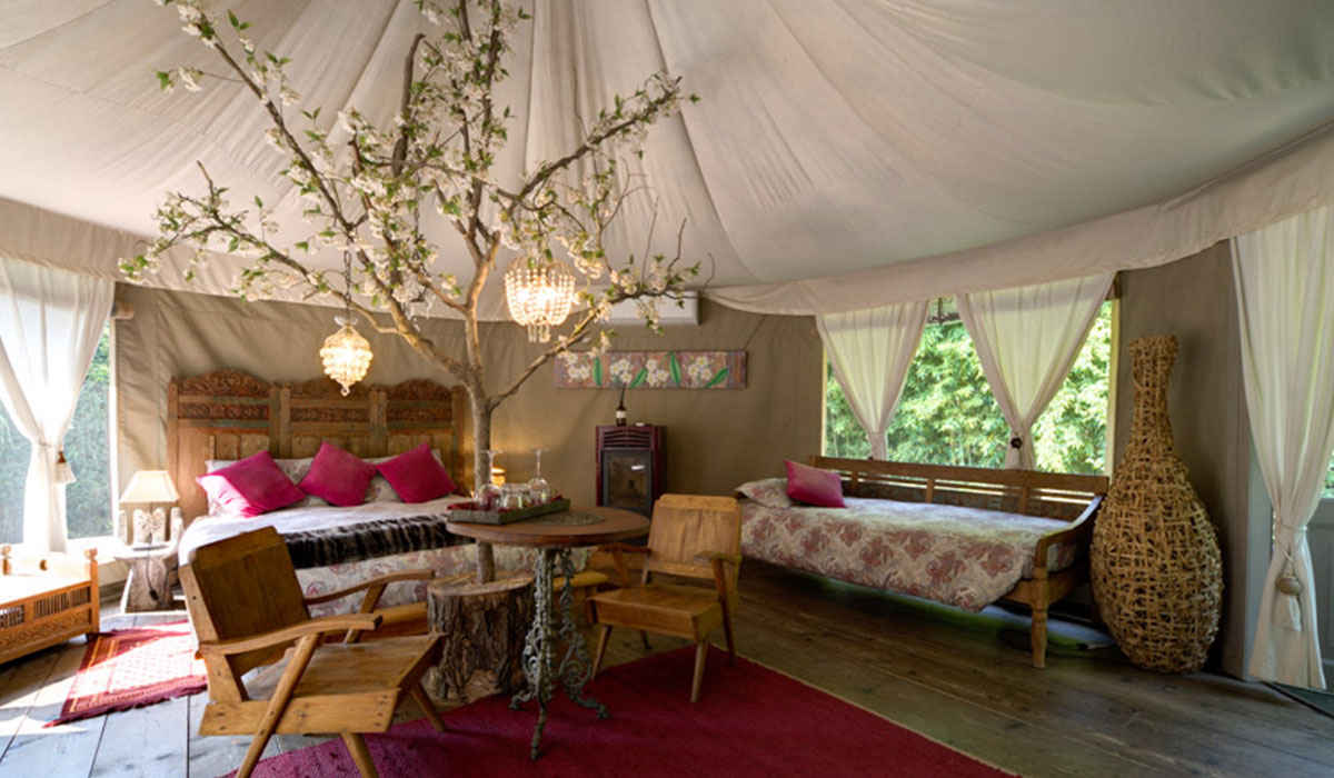 Canonici di San Marco Venetië - mirano visuel 3/5