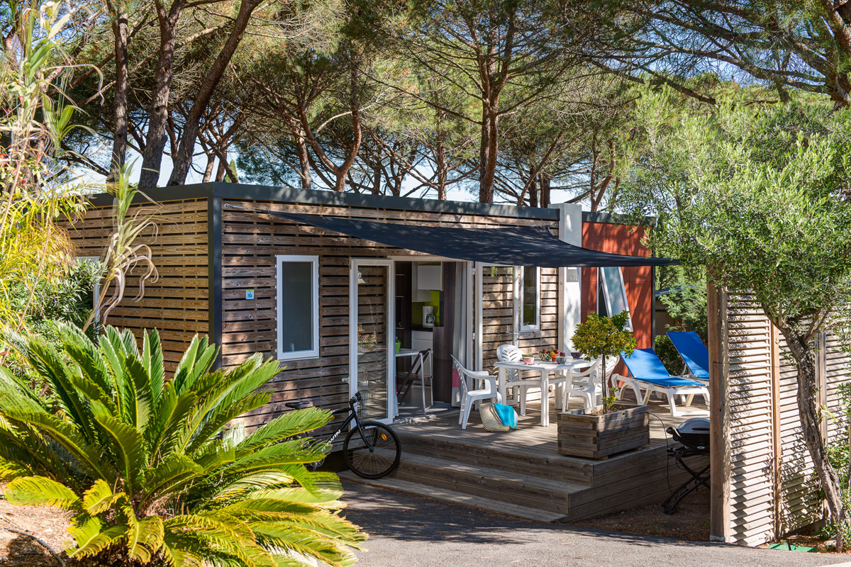 La Cigale Provence-Alpes-Côte d'Azur - Ramatuelle visuel 5/11 La Cigale Provence-Alpes-Côte d'Azur - Ramatuelle visuel 5/11