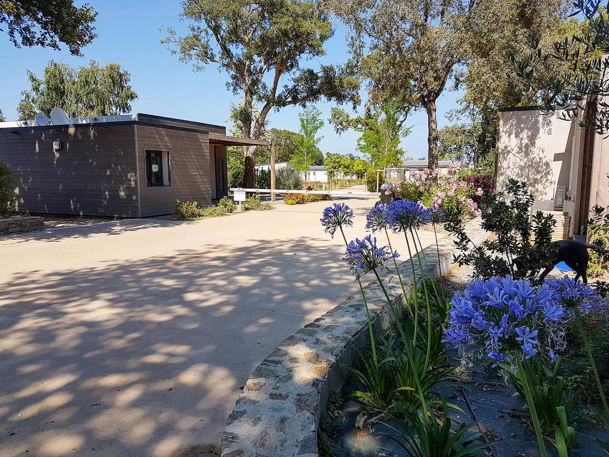 Casa e Natura Corsica - Santa-Maria-Poggio visuel 3/8 Casa e Natura Corsica - Santa-Maria-Poggio visuel 3/8