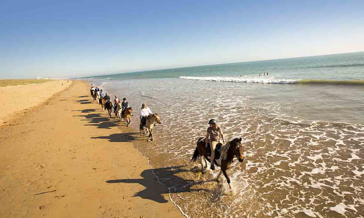 Campéole Pontaillac Plage Poitou-Charentes - Royan visuel 10/32