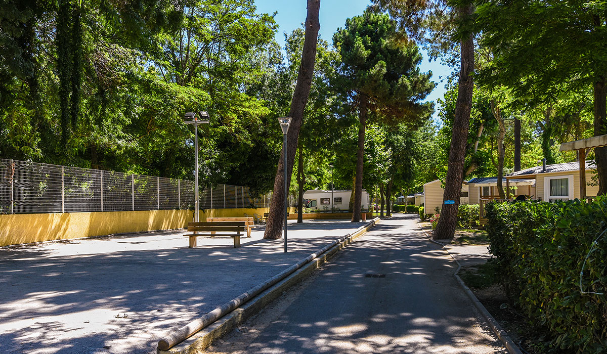 Camping Club MS Le Littoral Languedoc-Roussillon - Argelès-sur-Mer visuel 18/34 Camping Club MS Le Littoral Languedoc-Roussillon - Argelès-sur-Mer visuel 18/34