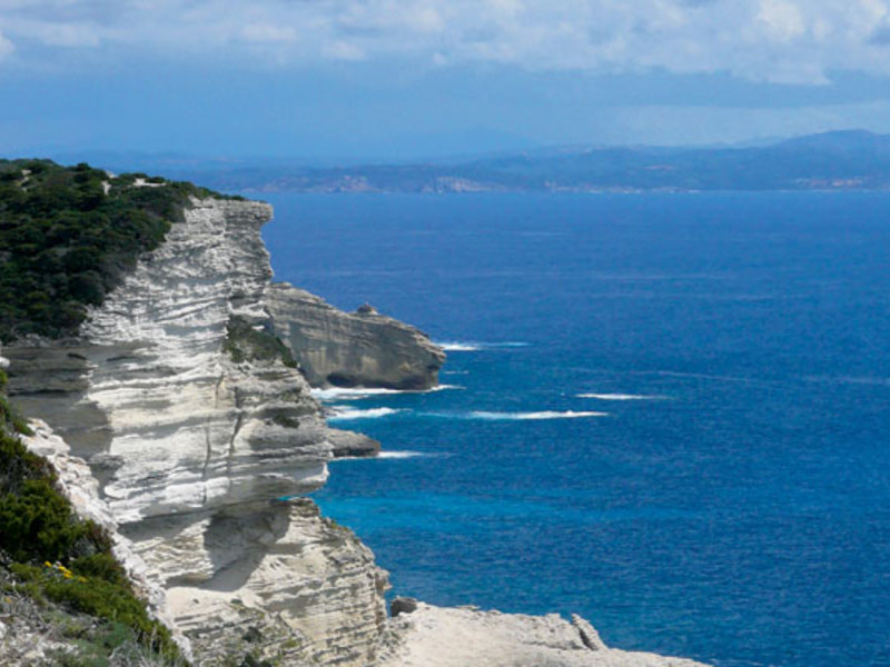 Cupulatta Corsica - Porto-Vecchio visuel 6/12 Cupulatta Corsica - Porto-Vecchio visuel 6/12