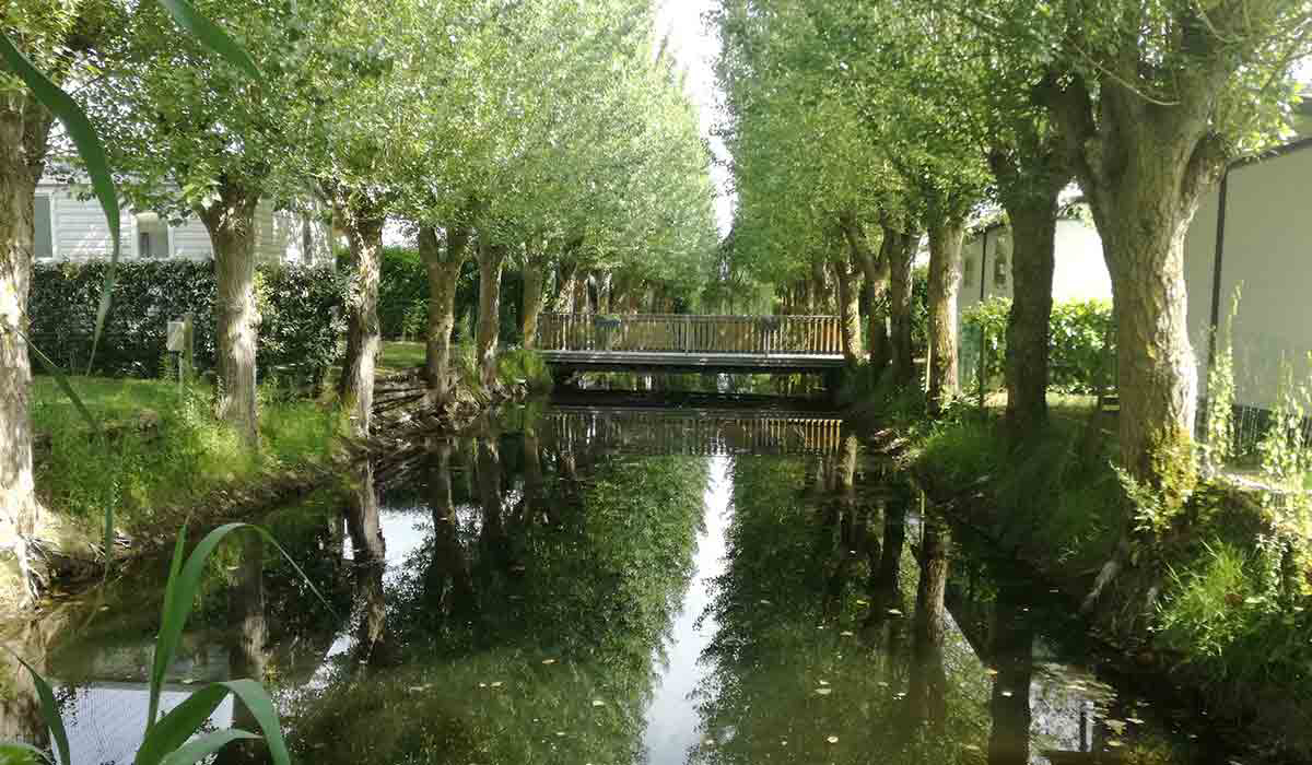 Domaine Le Jardin du Marais Pays de Loire - Perrier visuel 10/20 Domaine Le Jardin du Marais Pays de Loire - Perrier visuel 10/20