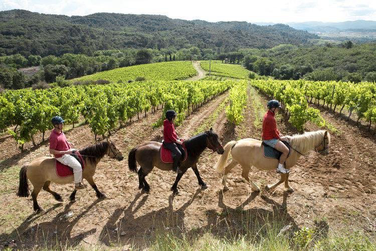 Yelloh! Village Domaine d'Arnauteille - Languedoc-Roussillon - Montclar visuel 14/15 Yelloh! Village Domaine d'Arnauteille - Languedoc-Roussillon - Montclar visuel 14/15