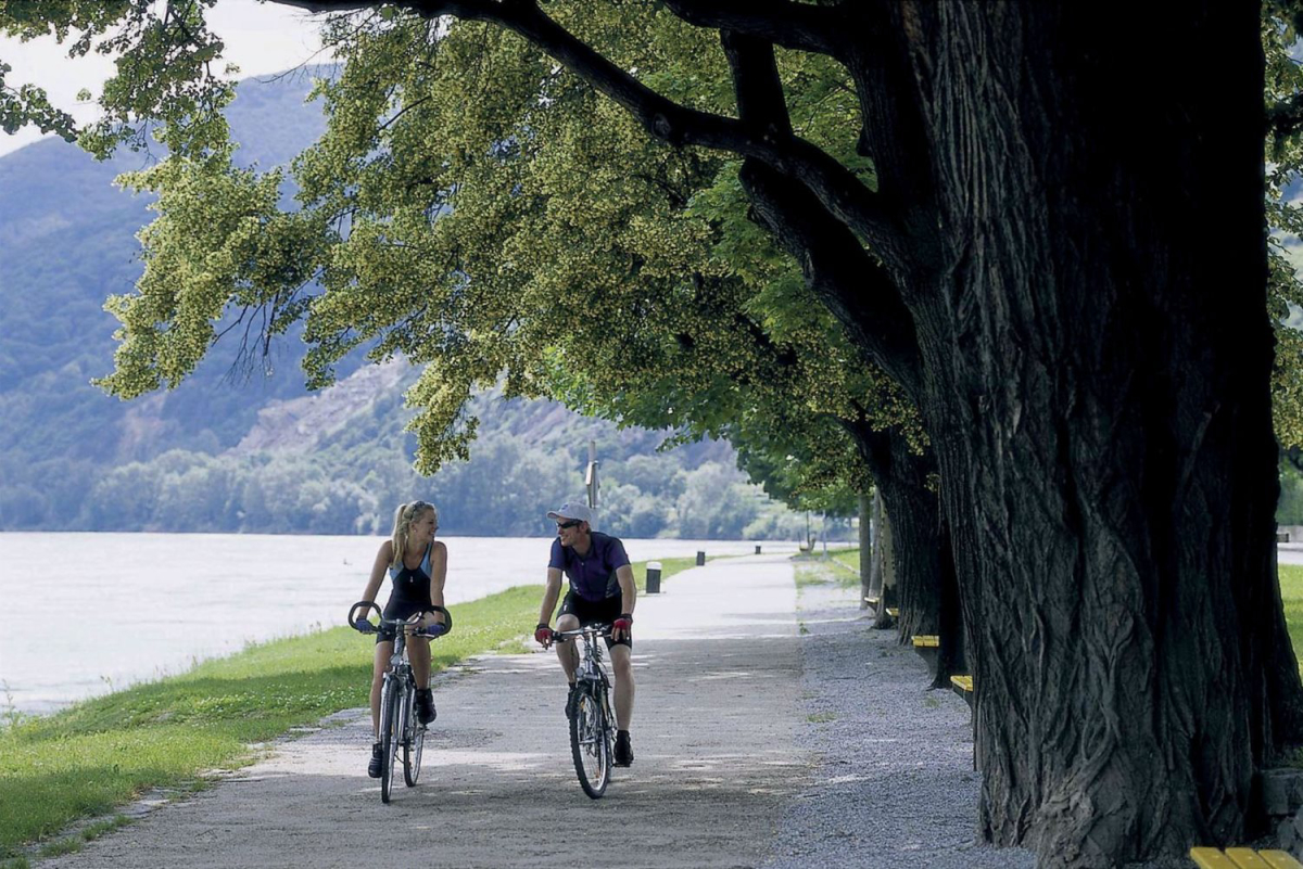 Donaupark Tulln Neder-Oostenrijk - Tulln aan de Donau visuel 17/19 Donaupark Tulln Neder-Oostenrijk - Tulln aan de Donau visuel 17/19