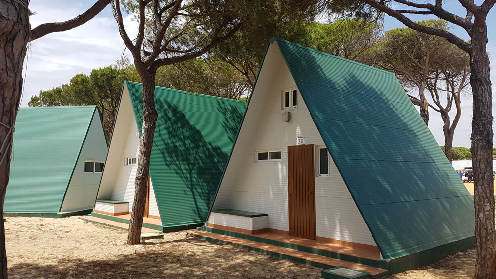 Doñana Mazagón Andalousië - Mazagón visuel 3/4 Doñana Mazagón Andalousië - Mazagón visuel 3/4