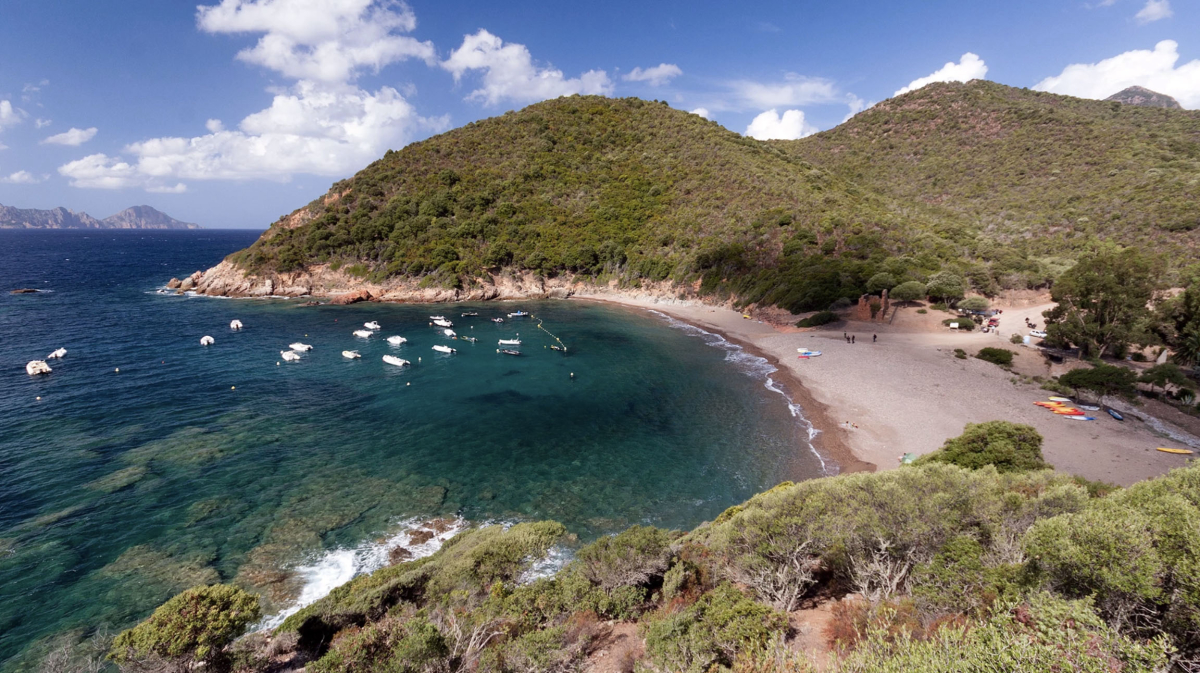 E Gradelle Corsica - Osani visuel 1/1