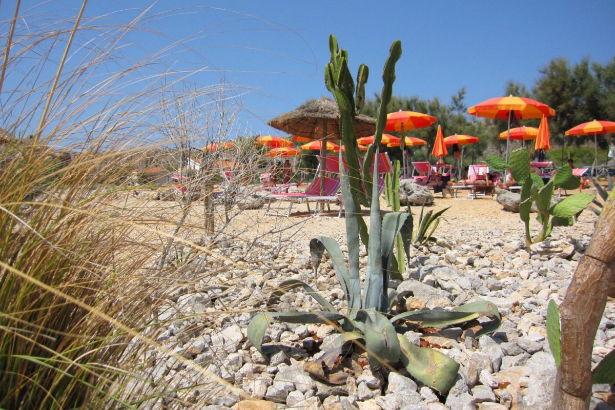 El Bahira Sicilië - San Vito Lo Capo visuel 5/7
