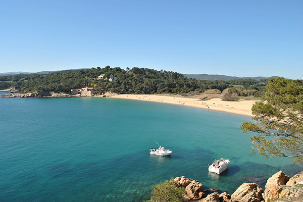 El King's Costa Brava - Palamos visuel 12/12 El King's Costa Brava - Palamos visuel 12/12