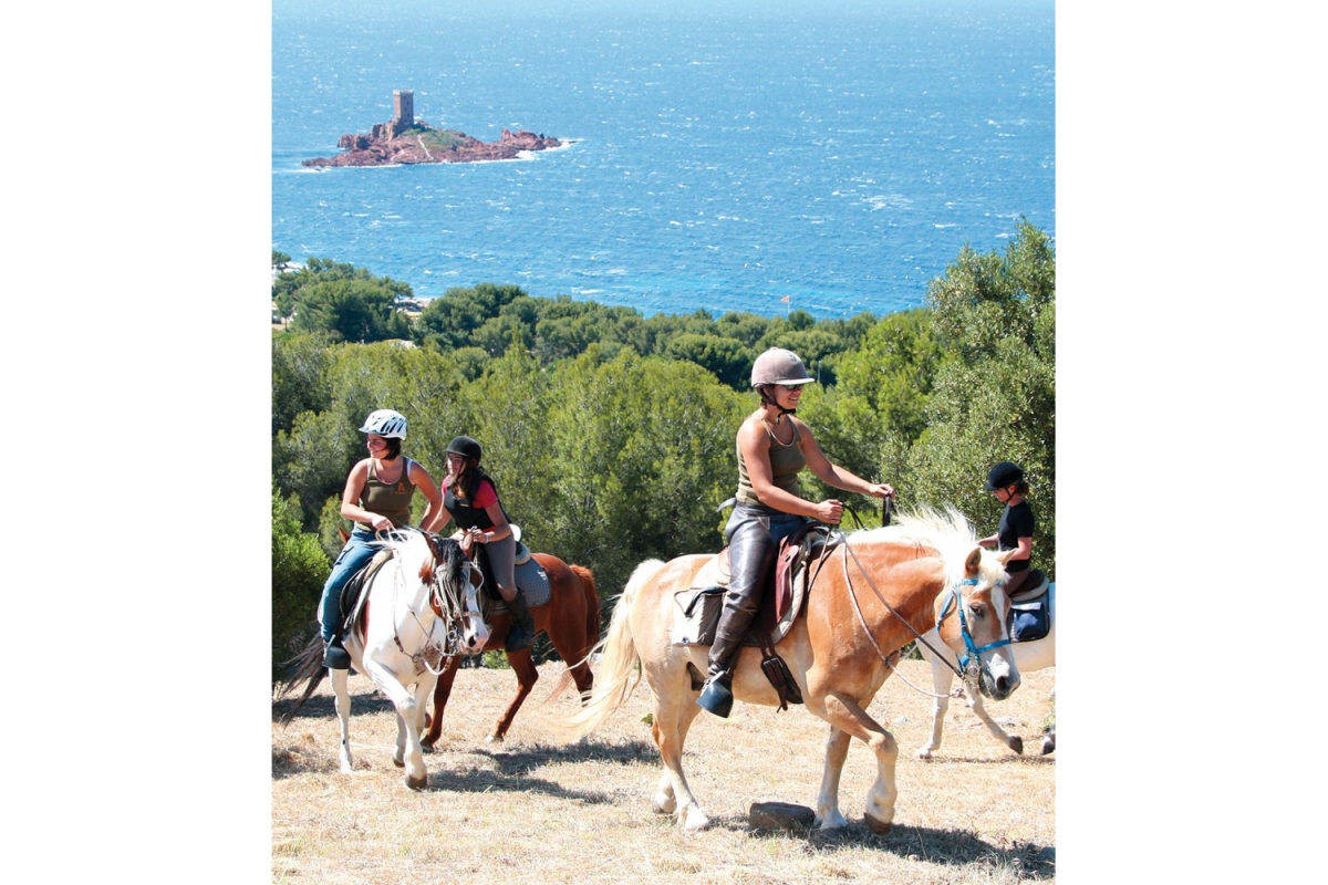 Esterel Caravaning Provence-Alpes-Côte d'Azur - Agay visuel 9/16 Esterel Caravaning Provence-Alpes-Côte d'Azur - Agay visuel 9/16