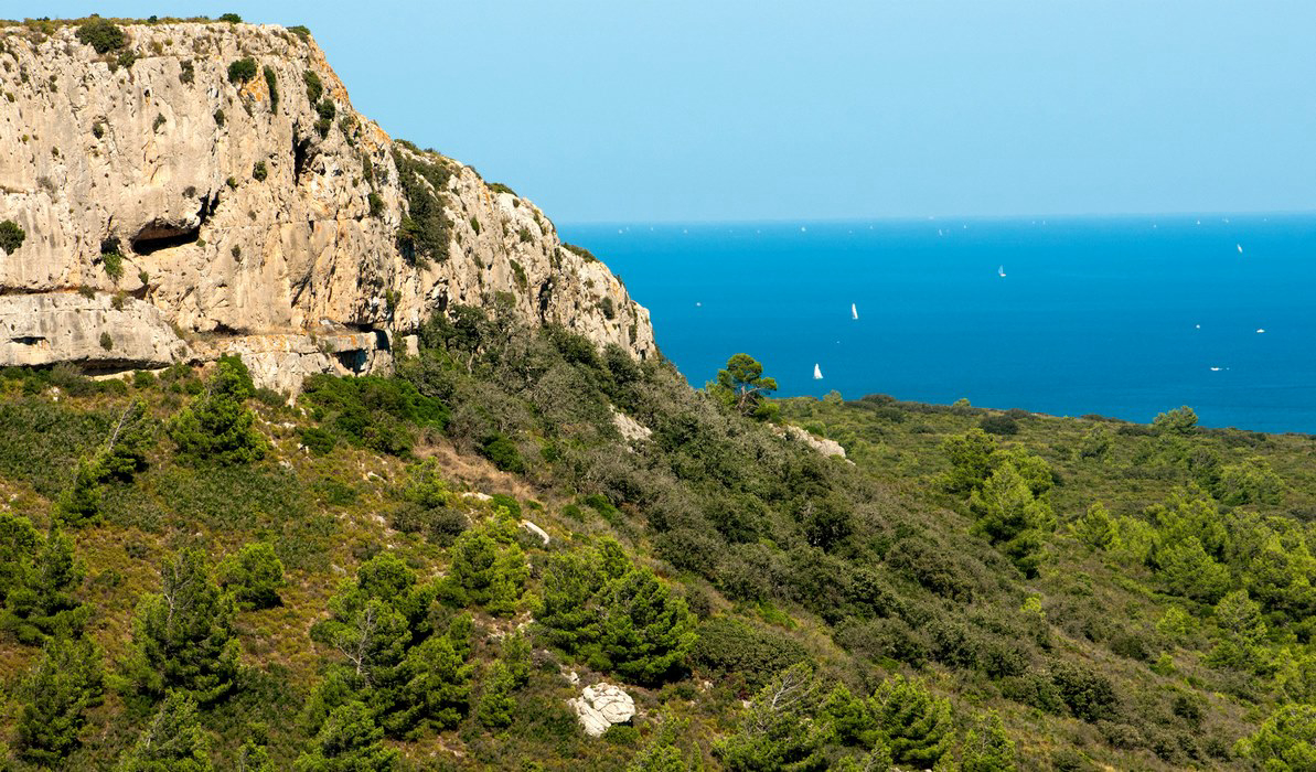 Falaise Narbonne Plage Languedoc-Roussillon - Narbonne-Plage visuel 14/17 Falaise Narbonne Plage Languedoc-Roussillon - Narbonne-Plage visuel 14/17