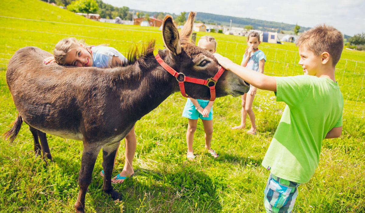Ferienpark Orsingen Baden-Württemberg - ofsing visuel 4/5 Ferienpark Orsingen Baden-Württemberg - ofsing visuel 4/5