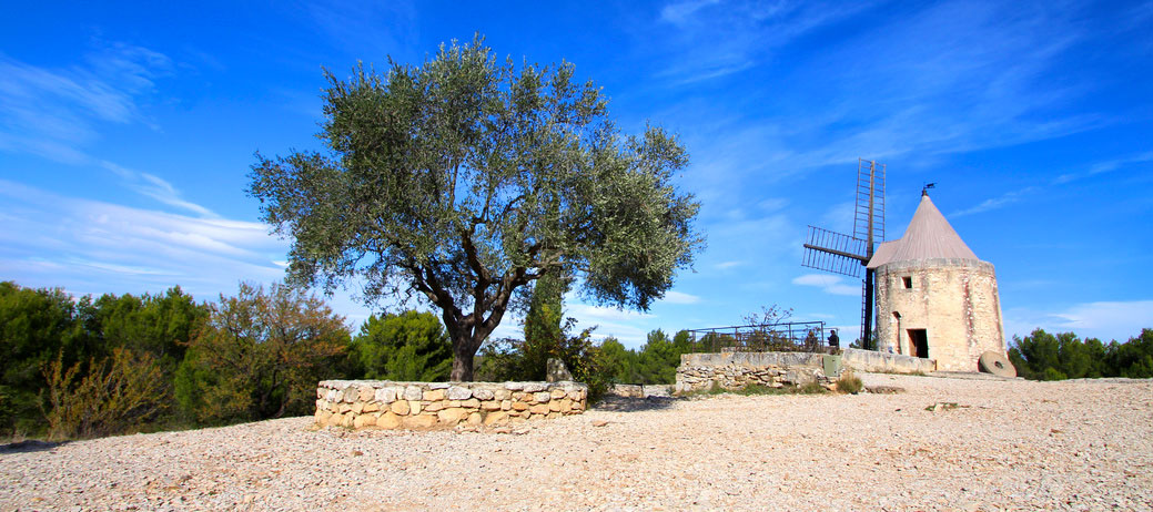 Fontvieille Provence-Alpes-Côte d'Azur - Fontvieille visuel 1/1 Fontvieille Provence-Alpes-Côte d'Azur - Fontvieille visuel 1/1