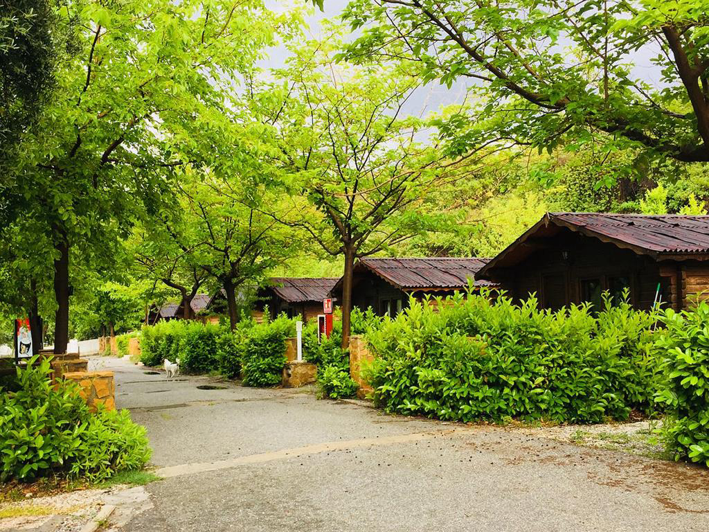 Fuente del Lobo Andalousië - Pinos Genil visuel 3/3