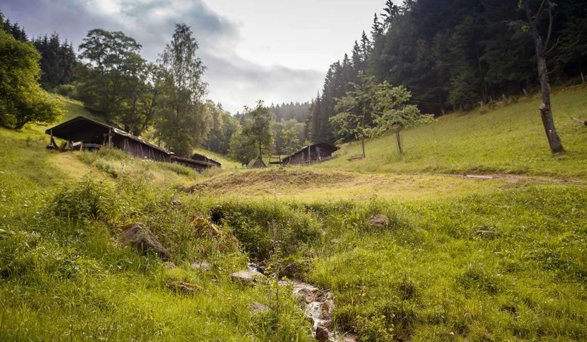 Hilserhof Baden-Württemberg - Triberg in het Zwarte Woud visuel 1/6 Hilserhof Baden-Württemberg - Triberg in het Zwarte Woud visuel 1/6