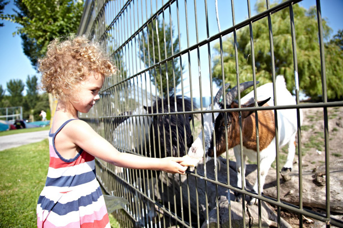 Hindeloopen Friesland - Hindeloopen visuel 4/5